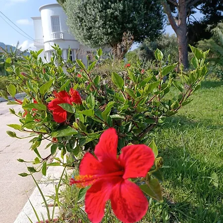 Tower Traditional Pool Kremastí