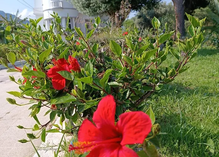 Tower Traditional Pool Kremasti (Rhodes)