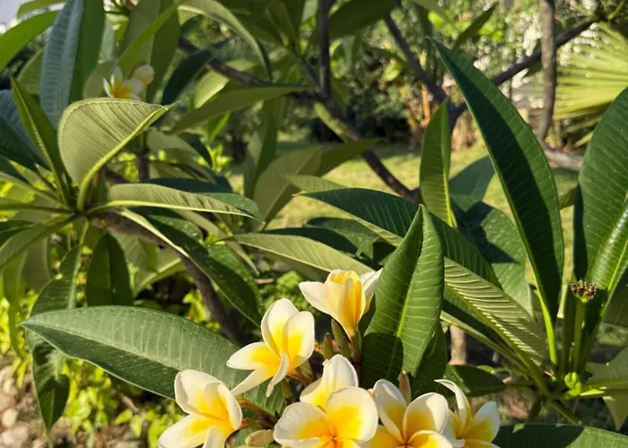 Tower Traditional Pool