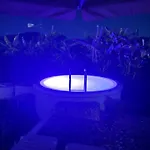 Дом отдыха Tower Traditional Pool *