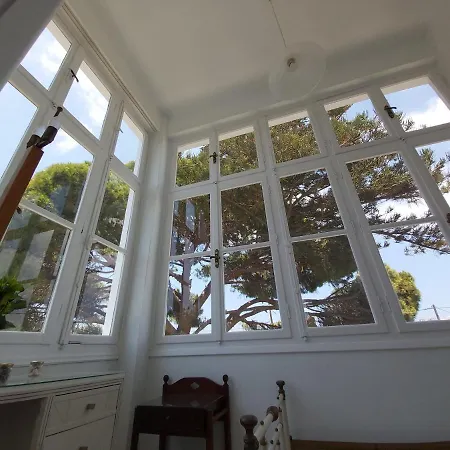 Tower Traditional Pool 別荘 クレマスティ